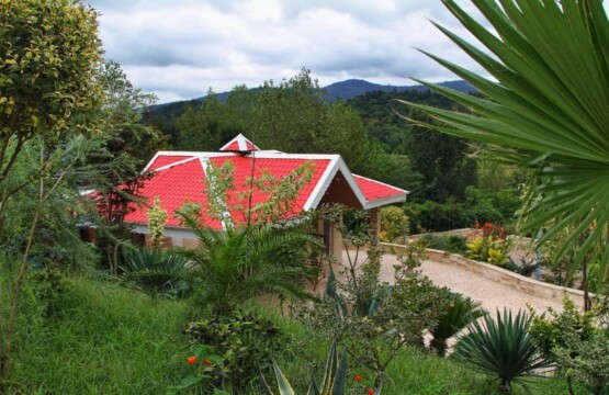 اجاره-ویلا-شمال-ویلا-اجاره-ای-اجاره-بهترین-ویلا-در-شماه-روزانه-ویلا-اجاره-ویلا-1