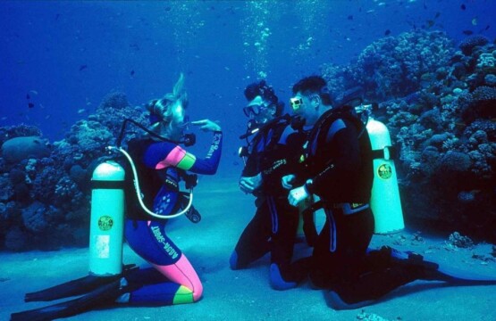 هتل مدرسه غواصی قشم-هتل مجتمع اقامتی مدرسه غواصی قشم-اقامتگاه مدرسه غواصی قشم-عکسهای مدرسه غواصی قشم-مدرسه غواصی قشم پارک زیتون-مدرسه غواصی قشم حاجی محمدی مدرسه غواصی قشم