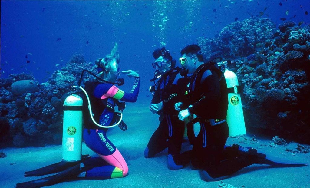 هتل مدرسه غواصی قشم-هتل مجتمع اقامتی مدرسه غواصی قشم-اقامتگاه مدرسه غواصی قشم-عکسهای مدرسه غواصی قشم-مدرسه غواصی قشم پارک زیتون-مدرسه غواصی قشم حاجی محمدی مدرسه غواصی قشم