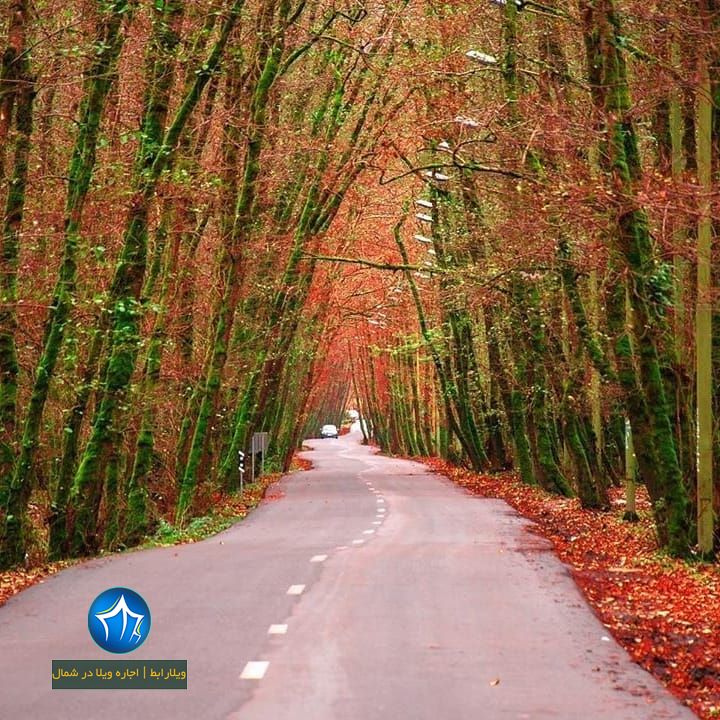 پارک جنگلی گیسوم تالش  تالش، استان گیلان، ویلارابط، اجاره‌ی ویلا در تالش، تورهای گردشگری یک روزه