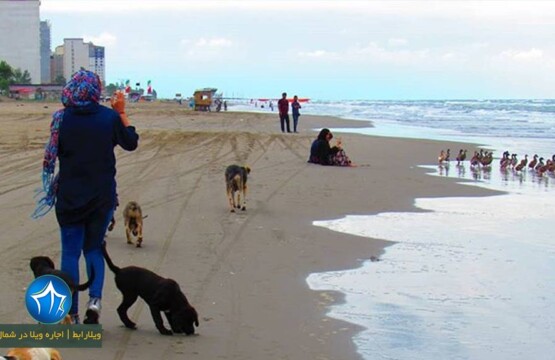 ساحل-سرخرود-اجاره-ویلا-در-سرخرود-ساحل-لب-دریا