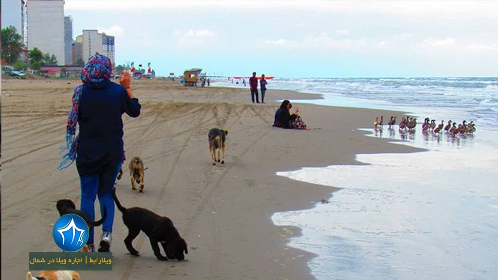 ساحل-سرخرود-اجاره-ویلا-در-سرخرود-ساحل-لب-دریا