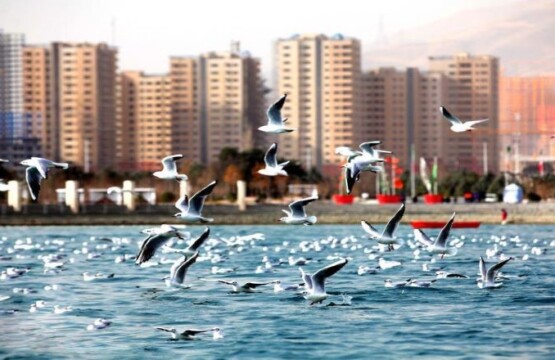 دریاچه چیتگر کجاست-دریاچه چیتگر در شب-دریاچه چیتگر تهران-قیمت تفریحات دریاچه چیتگر-آدرس دریاچه چیتگر-