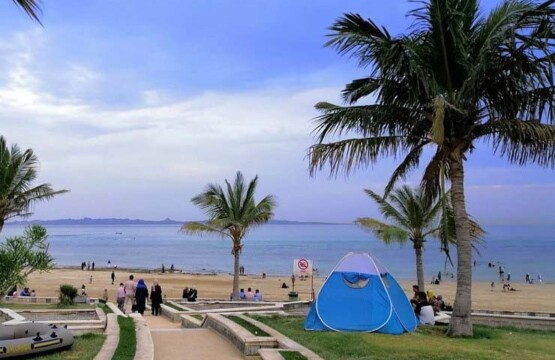 ساحل بوستان زیتون قشم- بوستان زیتون قشم