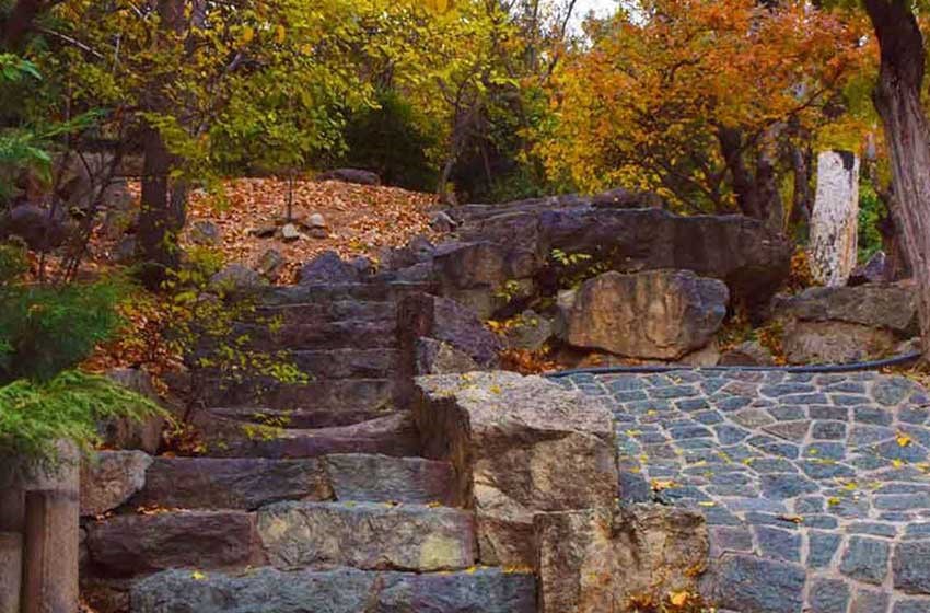 یکی از بهترین جاذبه های گردشگری تهران پل طبیعت پارک جمشیدیه