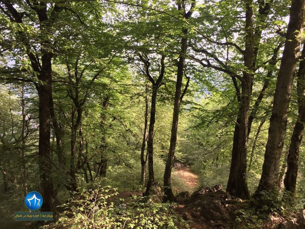 آب معدنی سجیران سجیران گیلان ویلارابط جاذبه گردشگری (۲)