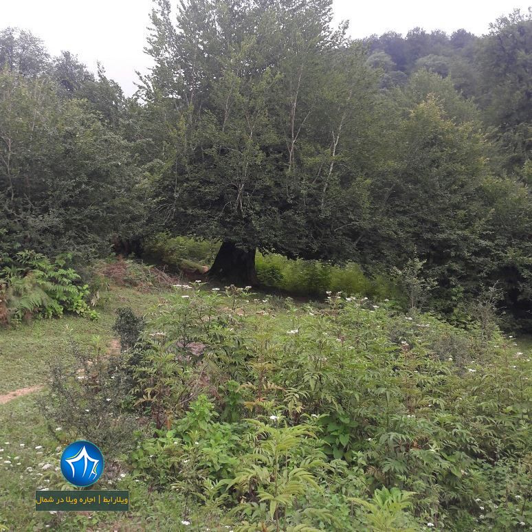 آب معدنی سجیران سجیران گیلان ویلارابط جاذبه گردشگری (۳)