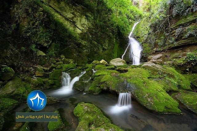 شیرآباد کجاست-شیرآباد گرگان-شیرآباد گلستان-جنگل شیرآباد گلستان