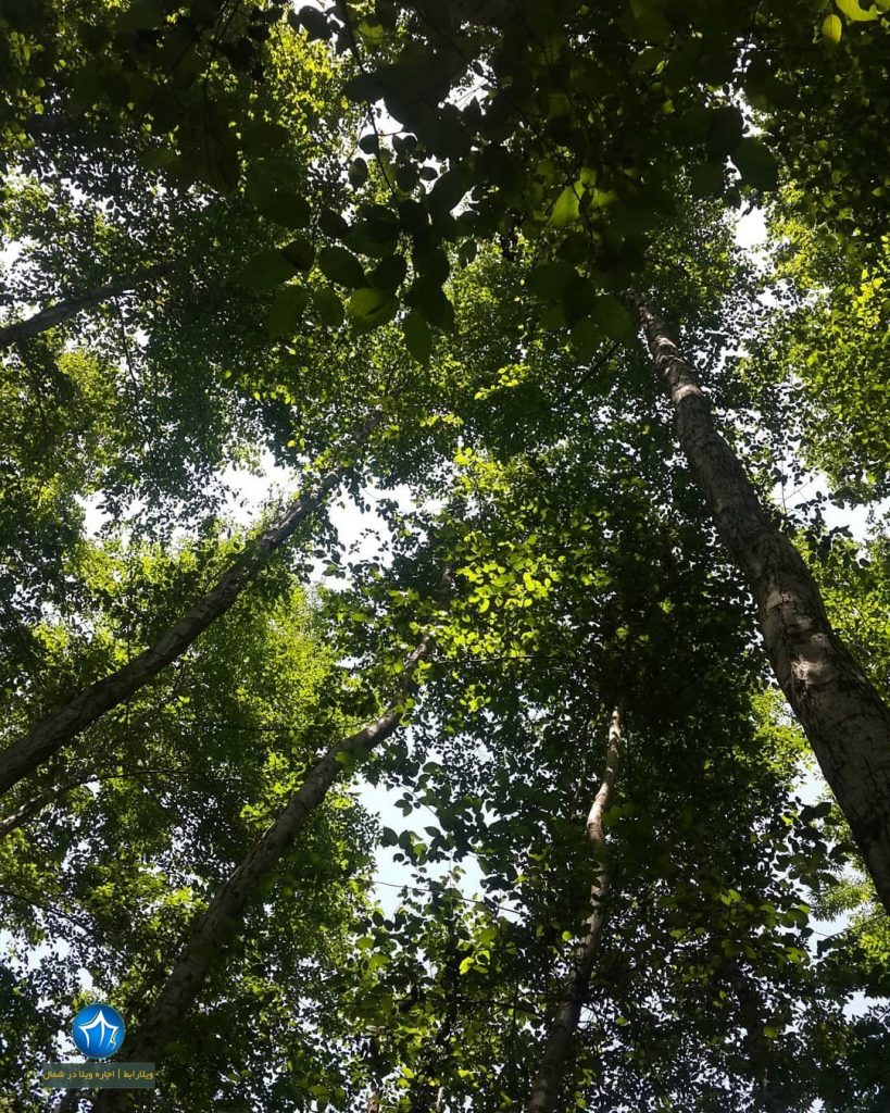 آبشار ونوش ابشار مازندران آبشار ونوش نور روستای ونوش (۱)