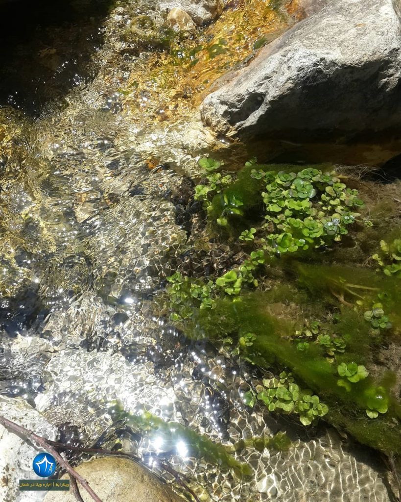 آبشار ونوش ابشار مازندران آبشار ونوش نور روستای ونوش (۱)