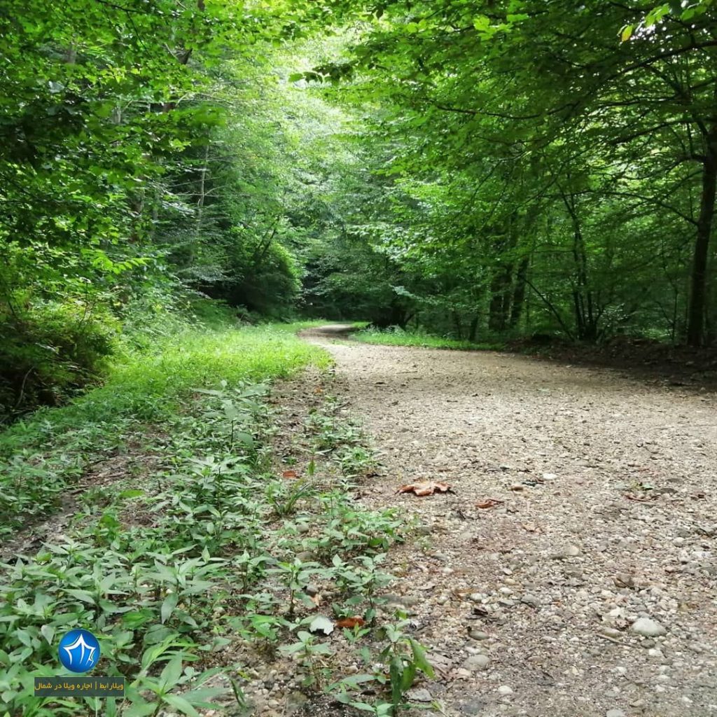 آبشار گزو سوادکوه آبشار گزو کجاست ابشار گزو مازندران تور آبشار گزو تور یکروزه گزو سوادکوه (۵)