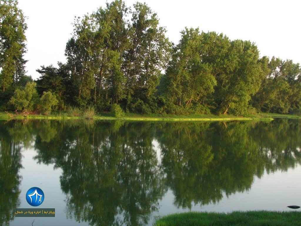 ماهیگیری عینک آدرس استخر عینک رشت-استخر عینک رشت کجاست-استخر عینک گیلان-دریاچه عینک رشت-تالاب عینک رشت-مرداب عینک رشت استخر عینک رشت۱