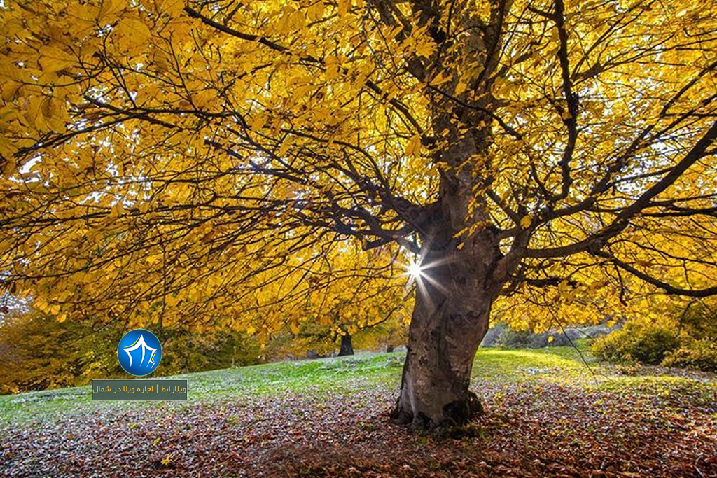 مازیچال اجاره ویلا در کلاردشت گردشگری کلاردشت جاذبه طبیعی کلاردشت