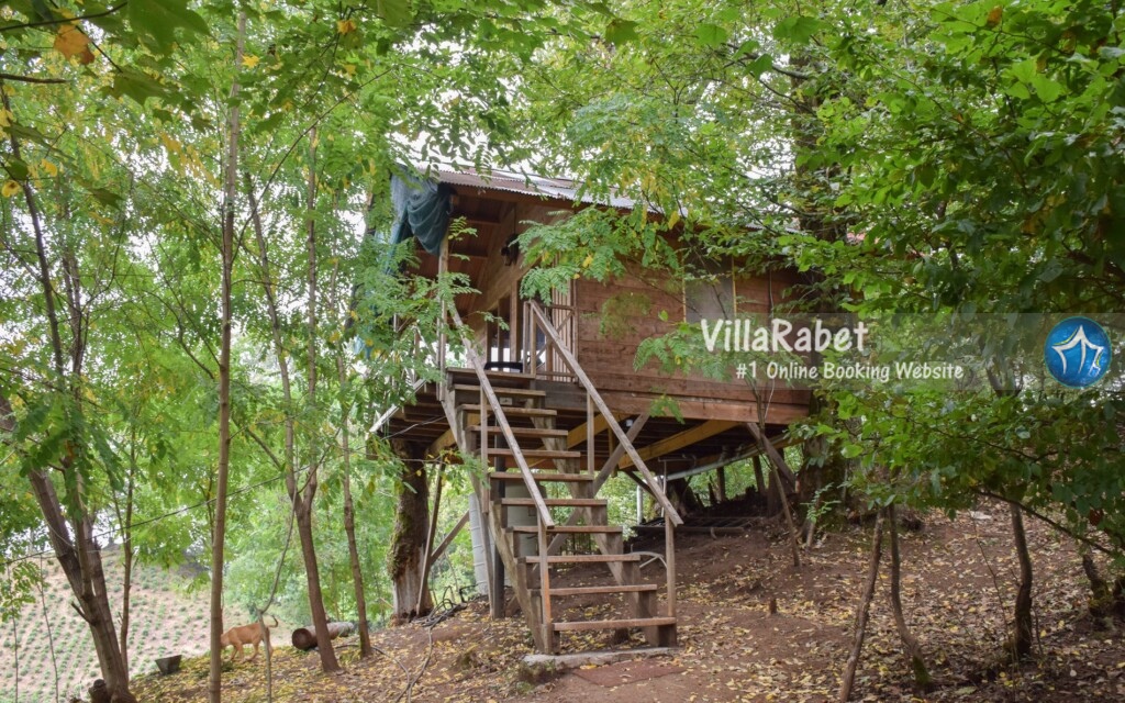 اجاره کلبه، اجاره کلبه در شمال، اجاره کلبه در جنگل، اجاره کلبه در ساحل، رزرو کلبه، کلبه چوبی، کلبه جنگلی، کلبه ساحلی