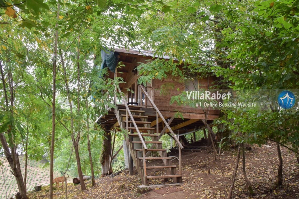 اجاره کلبه، اجاره کلبه در شمال، اجاره کلبه در جنگل، اجاره کلبه در ساحل، رزرو کلبه، کلبه چوبی، کلبه جنگلی، کلبه ساحلی