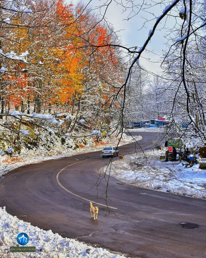 اسالم کجاست ؟ تالش، استان گیلان، ویلارابط، اجاره‌ی ویلا در منطقه‌ی ناو تالش، تورهای گردشگری یک روزه جنگلی ییلاقی ناو اسالم تالش (۱)