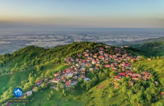 باغ چای املش باغات چای املش ویلارابط مناطق ییلاقی و باغات چای املش (۲)