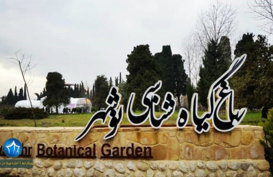 اغ گیاهشانسی نوشهر باغ گیاهشانی جاذبه دیدنی نوشهر ادرس باغ گیاهشانسی