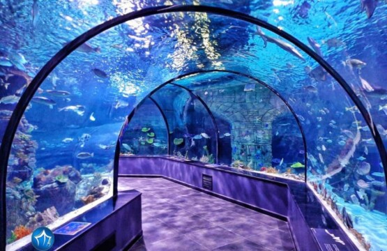 منطقه آزاد انزلی بندر انزلی، استان گیلان، ویلارابط، اجاره‌ی ویلا در انزلی، تورهای گردشگری یک روزه - آکواریوم انزلی اکواریوم ماهی بندر ازنلی (۱)