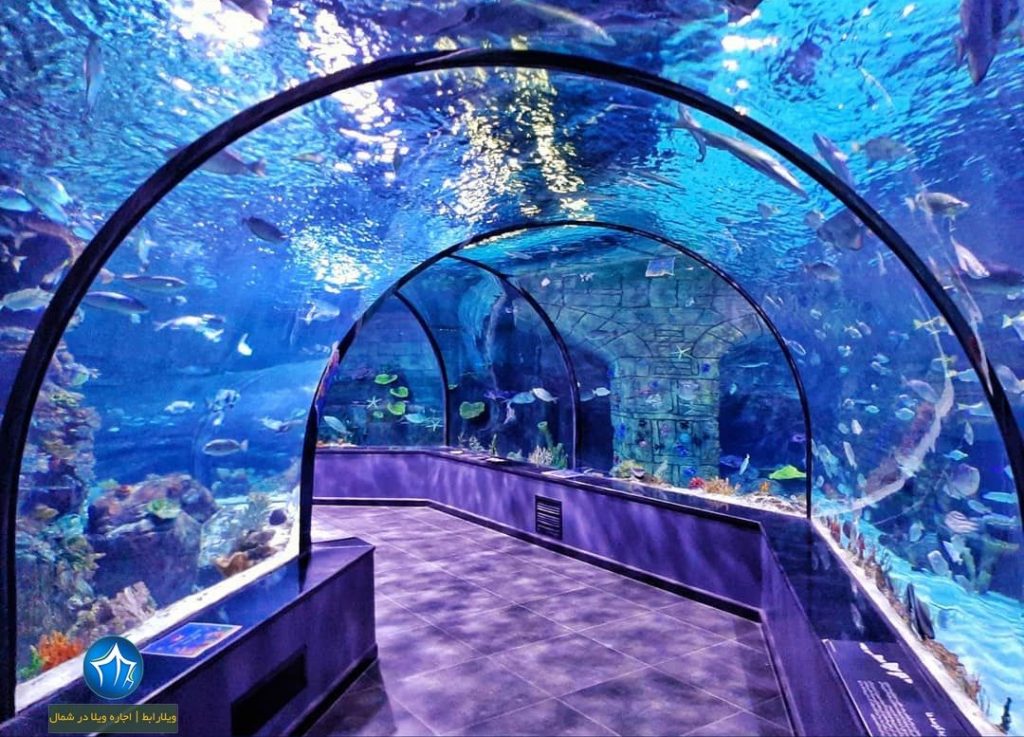 منطقه آزاد انزلی بندر انزلی، استان گیلان، ویلارابط، اجاره‌ی ویلا در انزلی، تورهای گردشگری یک روزه - آکواریوم انزلی اکواریوم ماهی بندر ازنلی (۱)