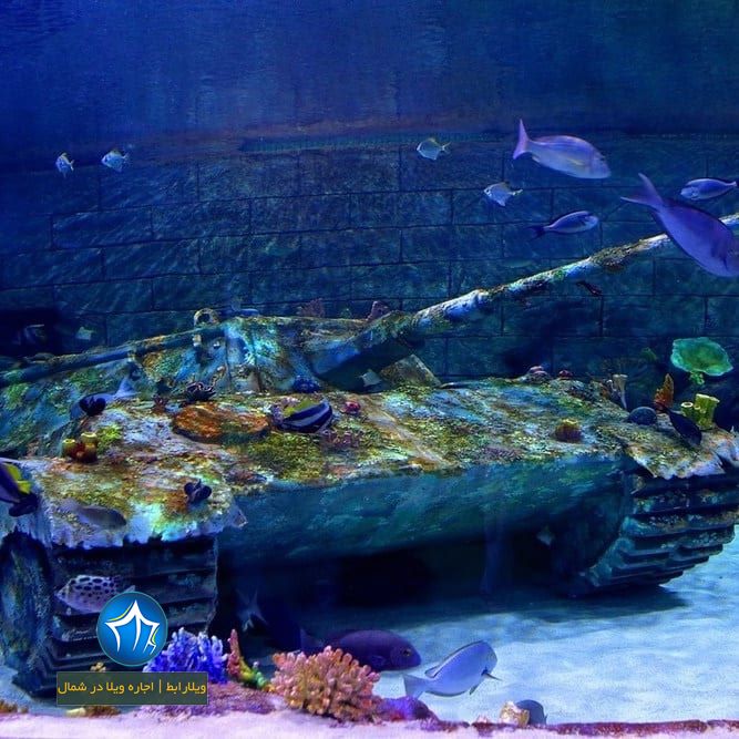 بندر انزلی، استان گیلان، ویلارابط، اجاره‌ی ویلا در انزلی، تورهای گردشگری یک روزه - آکواریوم انزلی اکواریوم ماهی بندر ازنلی (۳)