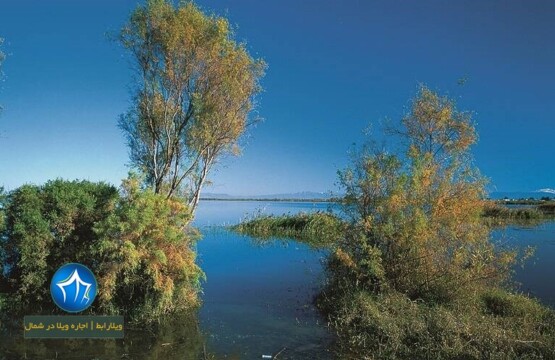 تالاب آلماگل-تالاب آلاگل و آلماگل-دریاچه آلاگل-تالاب آلاگل گنبد کاووس-تالاب آلاگل کجاست-تالاب آلاگل گلستان