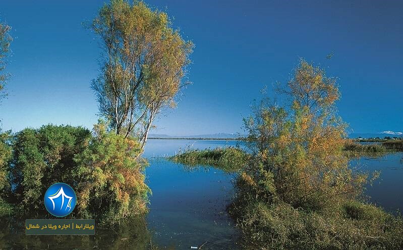 تالاب آلماگل-تالاب آلاگل و آلماگل-دریاچه آلاگل-تالاب آلاگل گنبد کاووس-تالاب آلاگل کجاست-تالاب آلاگل گلستان