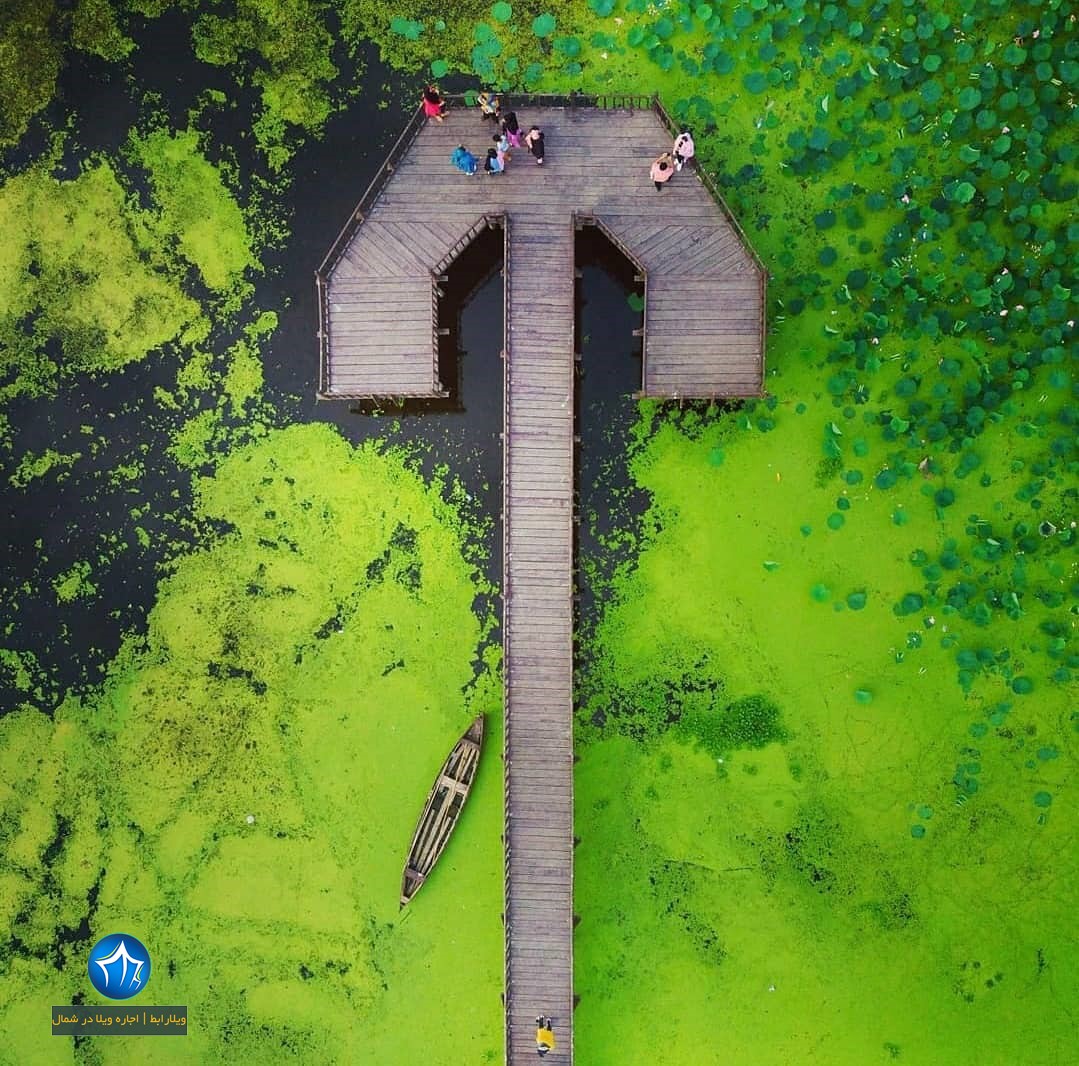 تالاب انزلی کجاست مرداب انزلی عکس تالاب انزلی تالاب انزلی تابستان راهنمای گردشگری تالاب انزلی توریکروزه مرداب انزلی اقامت تالاب انزلی (۱)