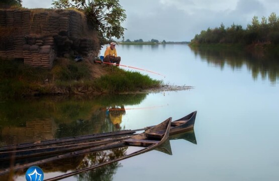 تالاب بوجاق کیاشهر تالاب کیاشهر پل چوبی کیاشهر ساحل کیاشهر دریای کیاشهر حیات وحش کیاشهر گیلان (۳)