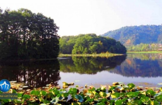 تالاب بین المللی امیر کلایه کجاست-تالاب بین المللی امیر کلایه لاهیجان-آدرس تالاله تالاب امیر کلایه تا لاهیجان (۲)