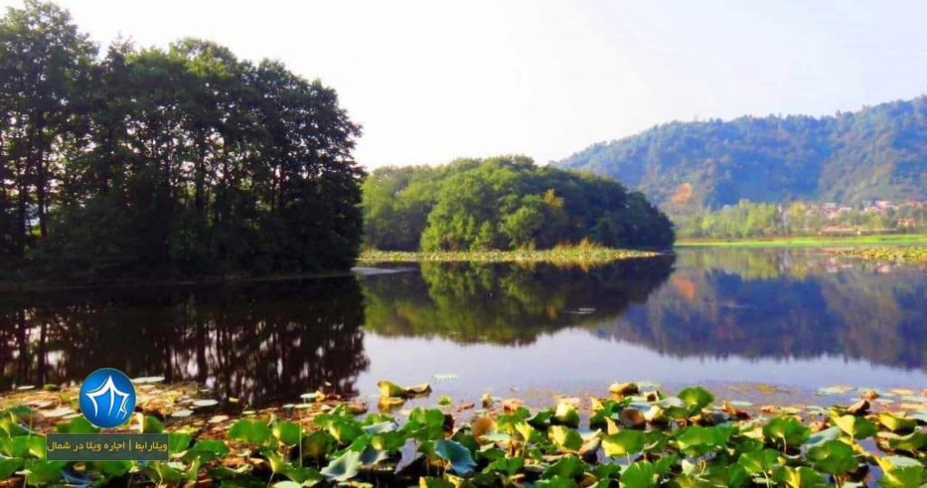 تالاب بین المللی امیر کلایه کجاست-تالاب بین المللی امیر کلایه لاهیجان-آدرس تالاله تالاب امیر کلایه تا لاهیجان (۲)