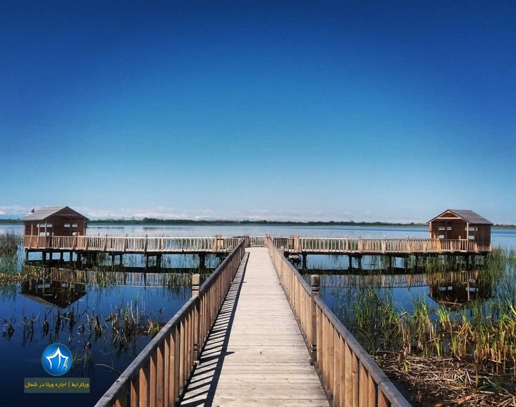 تالاب بین المللی امیر کلایه کجاست-تالاب بین المللی امیر کلایه لاهیجان-آدرس تالاله تالاب امیر کلایه تا لاهیجان (۲)
