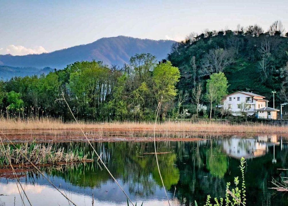 تالاب زربیجار سایت ویلا رابط-اجاره ویلا-تور یک روزه گردشگری (۱)