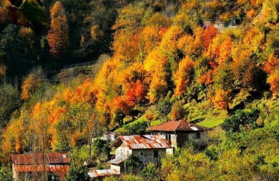 تالاب زربیجار سایت ویلا رابط-اجاره ویلا-تور یک روزه گردشگری (۲)