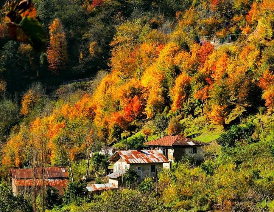 تالاب زربیجار سایت ویلا رابط-اجاره ویلا-تور یک روزه گردشگری (۲)