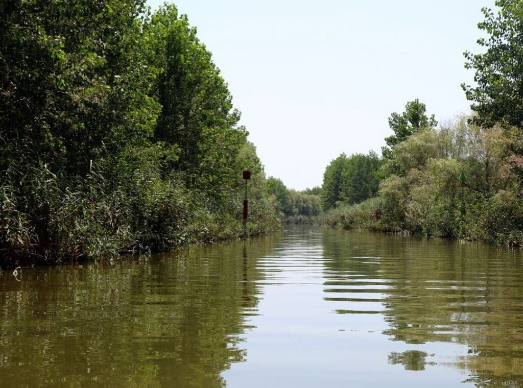 تالاب سرخانکل انزلی پناهگاه حیوانات تالاب سرخانکل جاذبه گردشگری انزلی مرداب سرخانکل پرندگلن ویلارابط گیلان تالاب مرداب (۲)