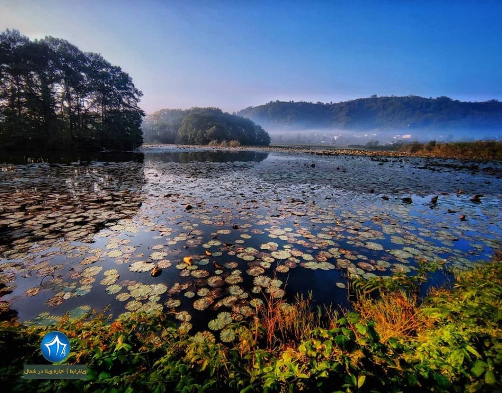 تالاب سوستان لاهیجان کجاست-تالاب سوستان در لاهیجان-تالاب سوستان لاهیجان گیلاعکس تالاب سوستان (۱)