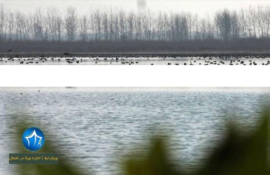 تالاب سیاه درویشان- تالاب سلکه انزلی-مرداب سیاه درویشان-تالاب نرگستان-تالاب نرگستان صومعه سرا تالاب سلکه