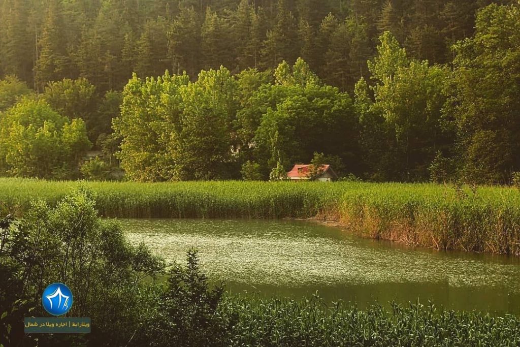 تالاب سیاهرود آشنایی با تالاب سیاهرود رودبار ، مکانی تفریحی در استان گیلان سیاه رود ردوبار تالاب گیلان ویلارابط (۵)