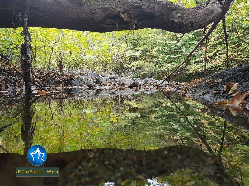 تالاب سیاهرود آشنایی با تالاب سیاهرود رودبار ، مکانی تفریحی در استان گیلان سیاه رود ردوبار تالاب گیلان ویلارابط (۴)