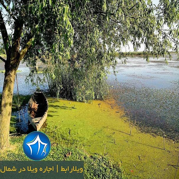 تالاب عزیزک