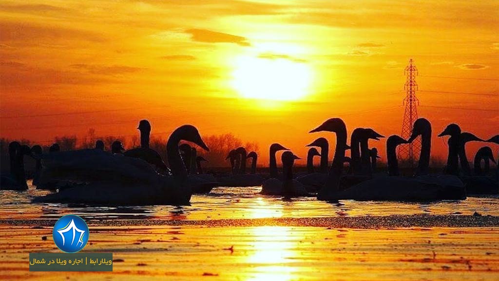 جاذبه‌‌های گردشگری سرخرود