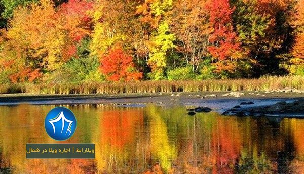 تالاب کیاکلایه-تالاب کیاکلایه لنگرود-تالاب نیلوفر آبی کیاکلایه-تالاب کیاکلایه کجاست-تالاب کیاکلایه گیلان