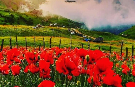 تالش، استان گیلان، جاذبه‌های گردوباتان، تورهای گردشگلاقی سوباتان تالش کجاست (۱)