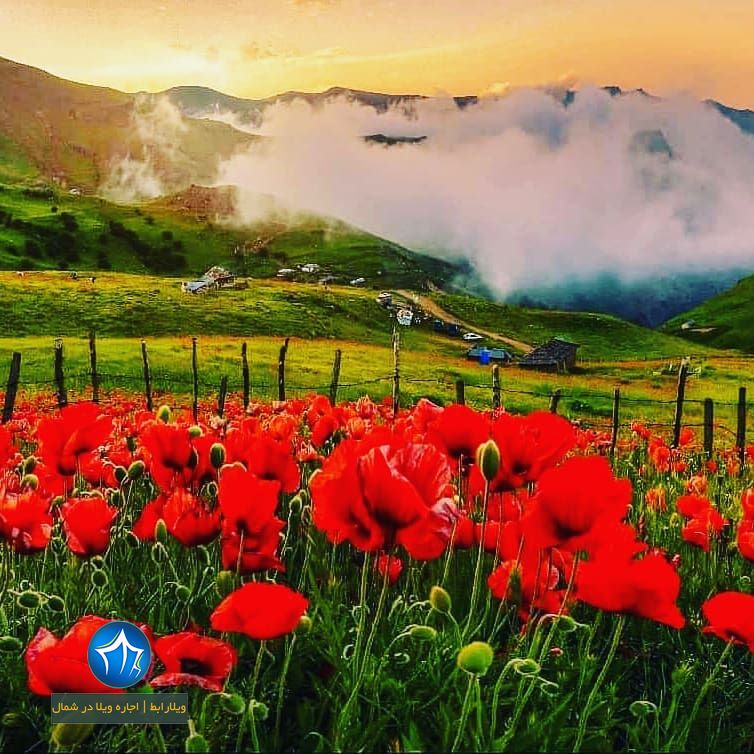 تالش، استان گیلان، جاذبه‌های گردوباتان، تورهای گردشگلاقی سوباتان تالش کجاست (۱)