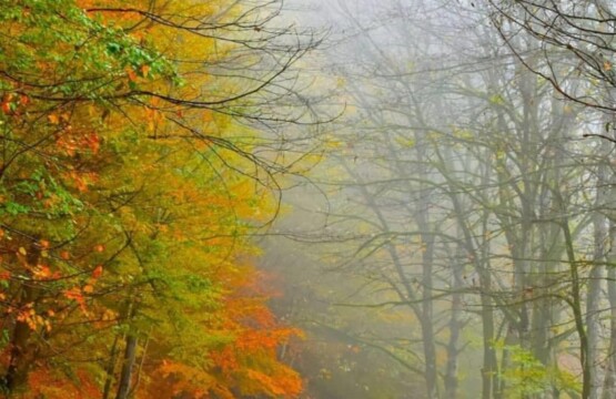 تصاویر جاده فومن به ماسوله-مسیر فومن به ماسوله-جاده فومن ماسوله- جاده فومن به ماسوله۲