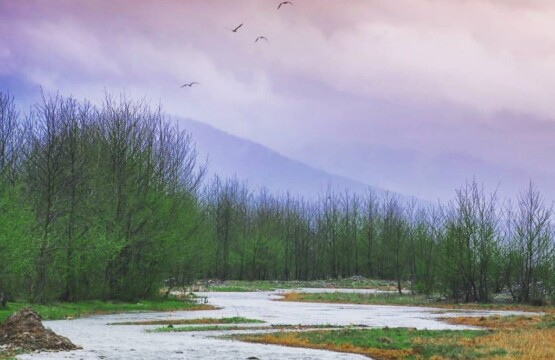 تصویر دریاچه سد سنگر-دریاچه سد سنگر- دریاچه سد سنگر رشت کجاست-سد سنگر در رشت-سد سنگر در کجاست دریاچه سد سنگر رشت (۳)