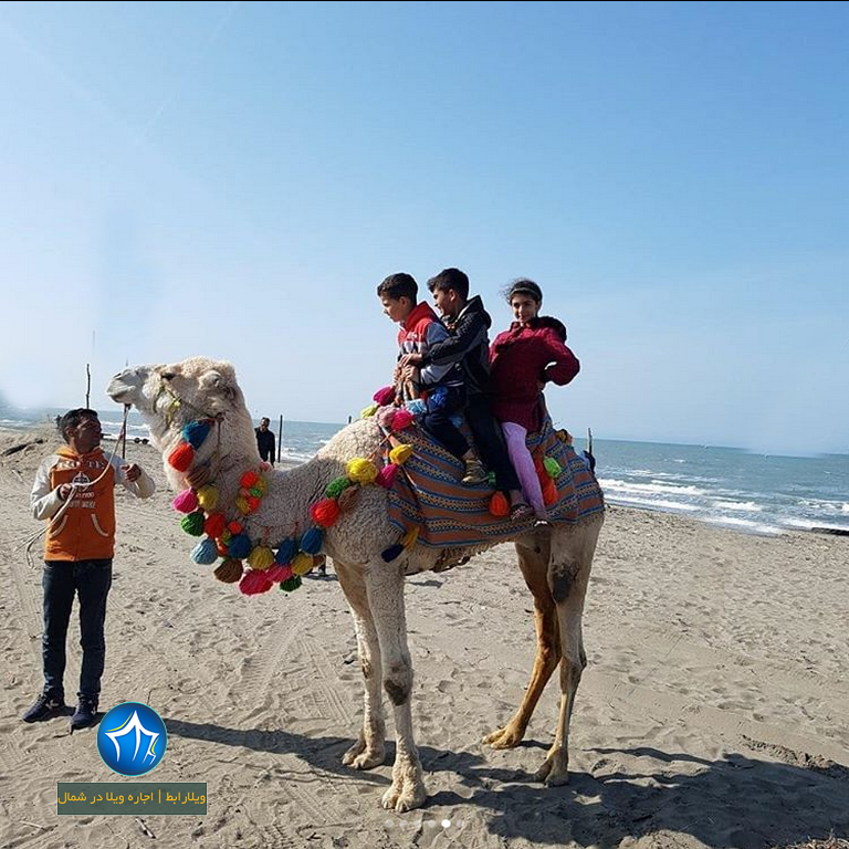 طرح سالمسازی دریا چالوس شنا در چالوس