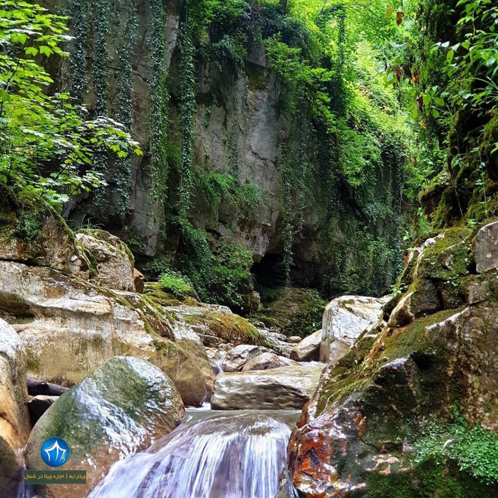 تنگه دار کجاست تور تنگه دار نوشهر عکس تنگه دار تور یکروزه تنگه دار نوشهر صخره کوه (۲)