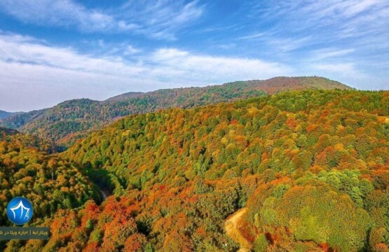 جاده عباس آباد جاده عباس اباد کلاردشت پاییز جاده عباس اباد زیبایی جاده کافه جاده عباس اباد کجاست (۲)